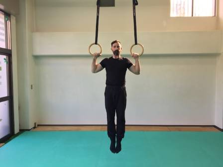 Essensen af Mænds Kunstnerisk Gymnastik: En Omfattende Guide til de Seks Discipliner